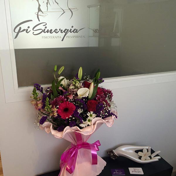 fisinergia-fisioterapia-suelo-pelvico-pelviperineal-sevilla-nuestra-historia-13